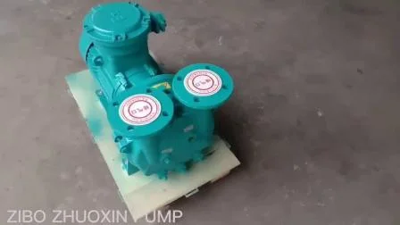 Liquid Ring Vacuum Pump in China (2BV-6110-6111-6121-6161) Ex-Proof Motor